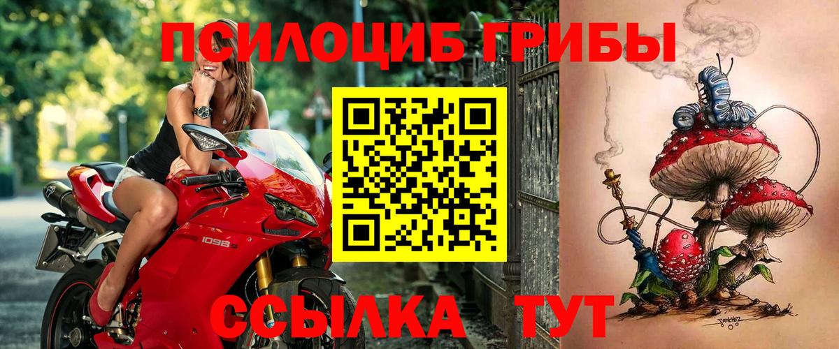 Псилоцибиновые грибы Magic Shrooms  Галлюциногенные грибы Psilocybe  закладки  Десногорск  Вход с VPN 